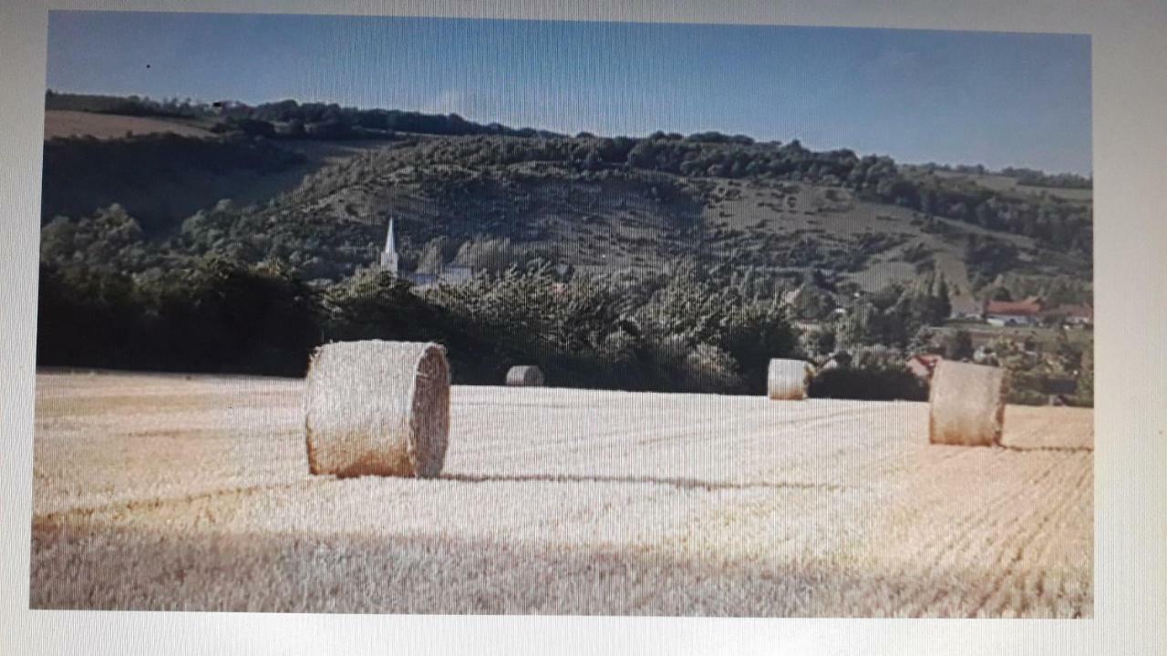 Studio Du Gite Wavrans-sur-l'Aa Екстер'єр фото